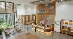 Sảnh đón tiếp ốp tấm tiêu âm Polyester và tấm gỗ tiêu âm của Gỗ Việt